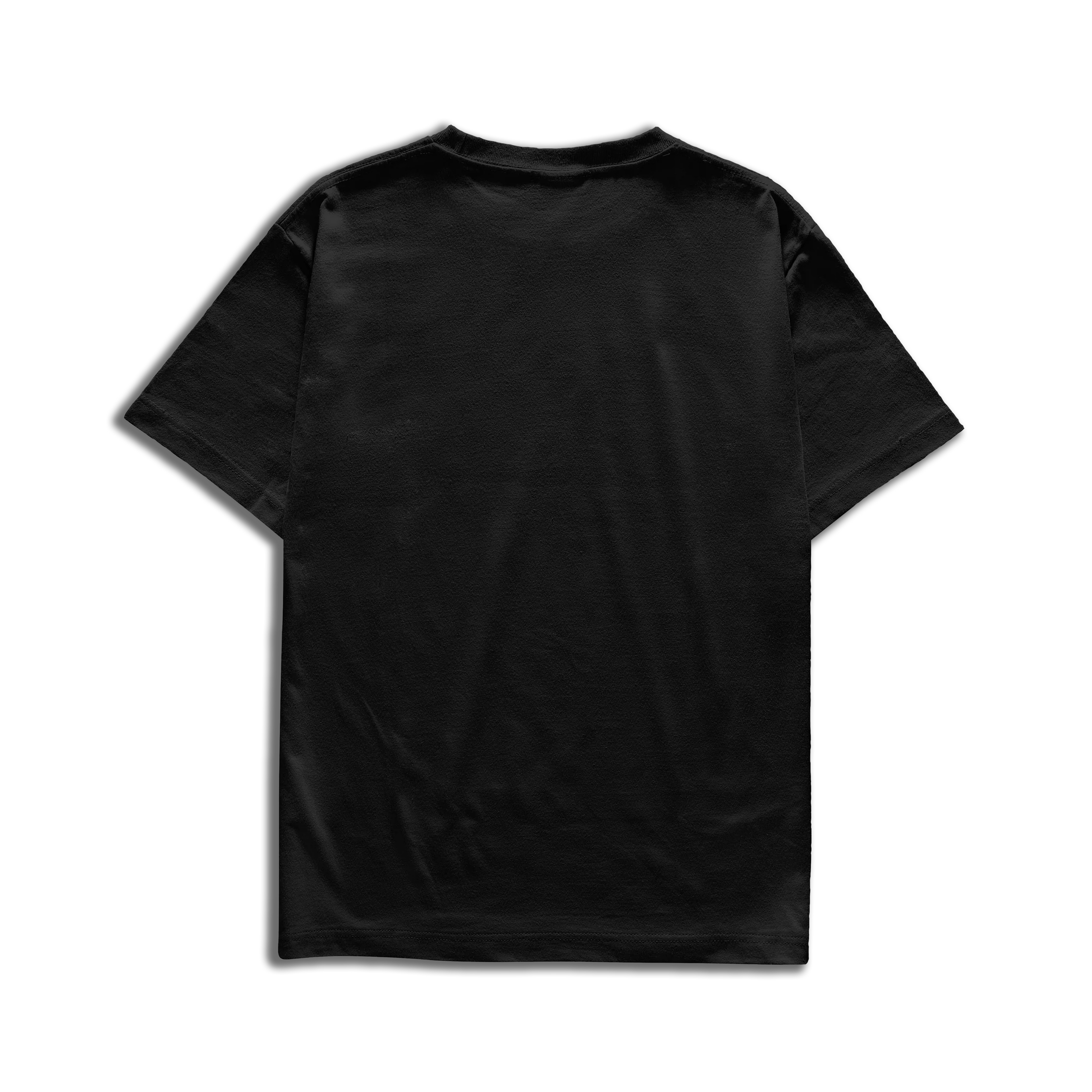 Camiseta Mercedes-Benz Petronas